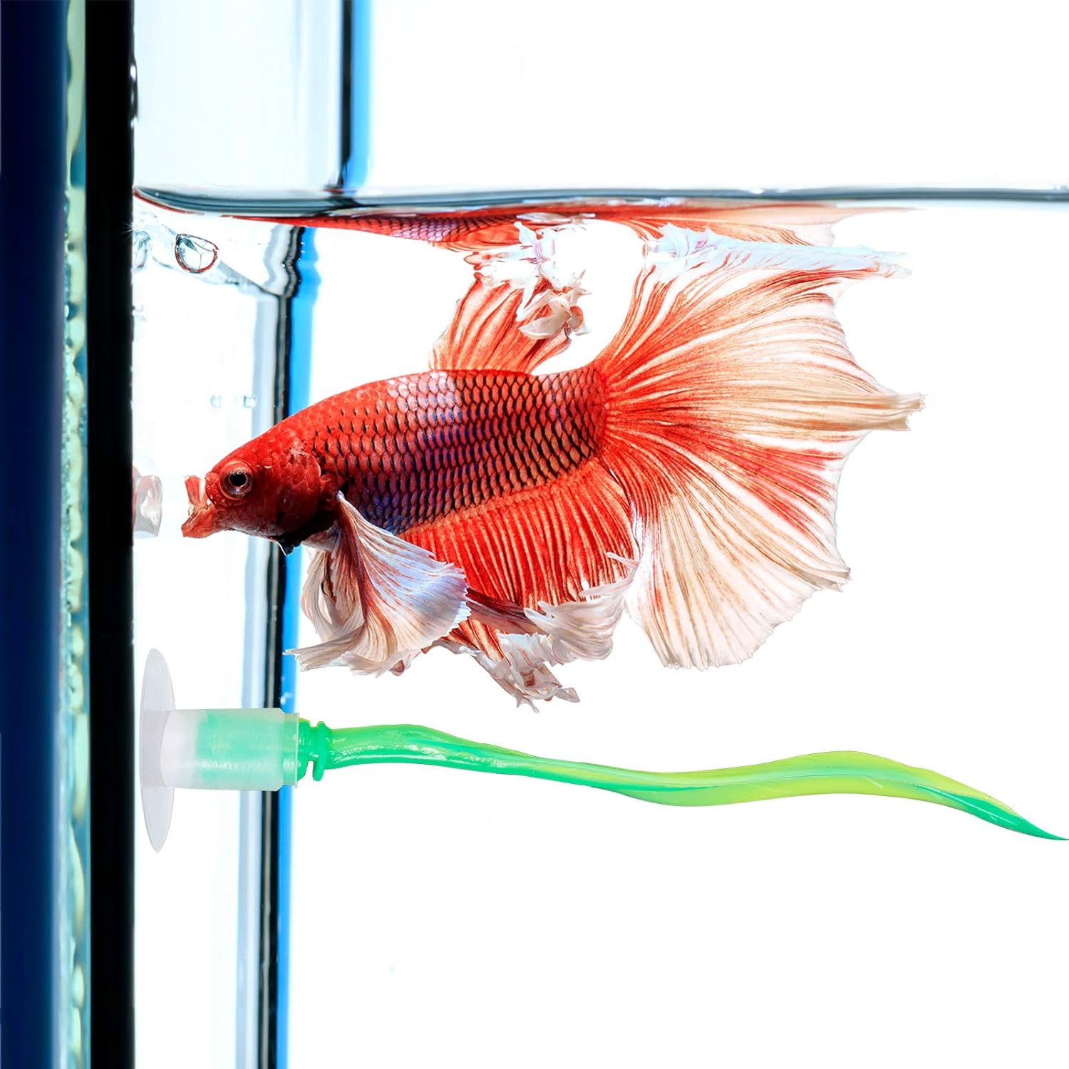 WILLBOND 2 Pieces Silicone Betta Fish Bed Leaf Hammock Betta Fish Tank Accessories, Practical Resting Spot, No Bpa, Comfortable and Safe(Green)