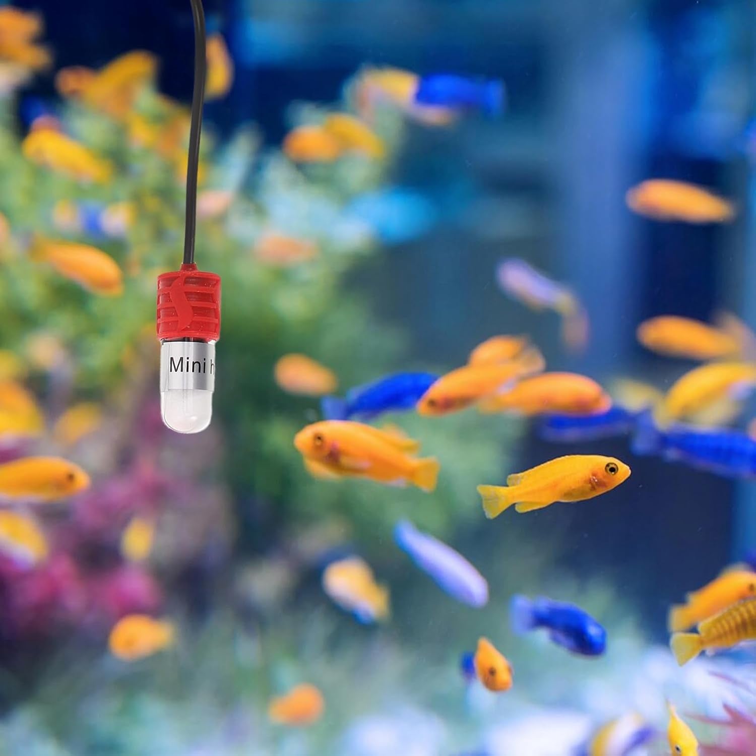 BETOOKY Betta Fish Heater: USB Aquarium Heating Quartz Tube - 15W Adjustable Small Fish Tank Heater for Freshwater Aquariums Turtle Tanks
