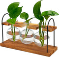Plant Terrarium with Wooden Stand, The Ultimate Gift for Plant Lovers, Propagation Station with Retro Glass Bulbs, Creating a Stunning Tabletop Display of Hydroponic Greenery in Any Home or Office