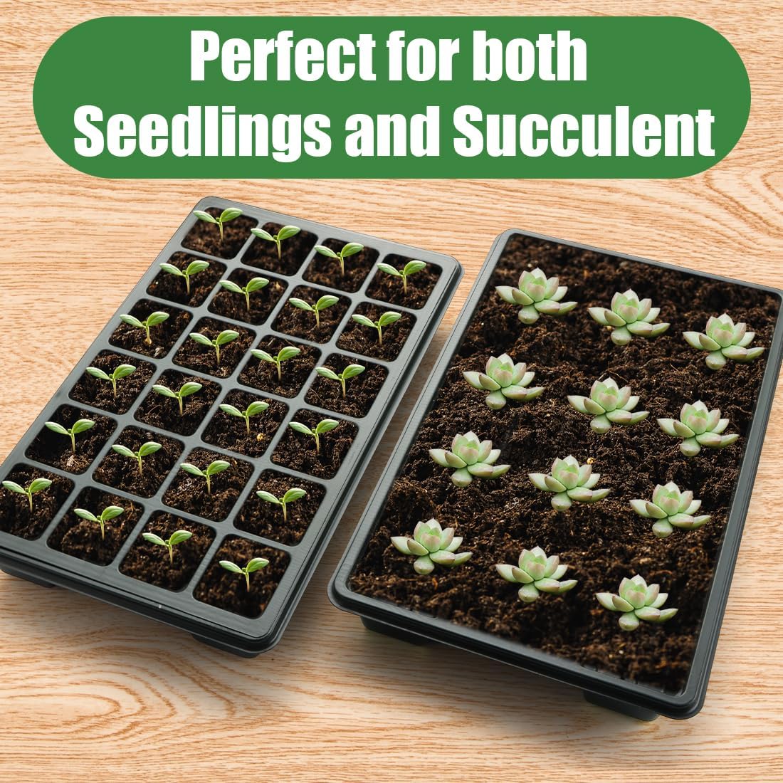 10 Pack XL-Cell Seed Starter Tray, 240 Cells Seedling Trays (2'' Each Cell) with Humidity Dome & Vented Lid, Mini Greenhouse Propagator for Plant Growing, Gardening Supplies