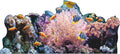 SP12556 Coral Reef Ocean Floor Backdrop Cardboard Cutout Standee Standup