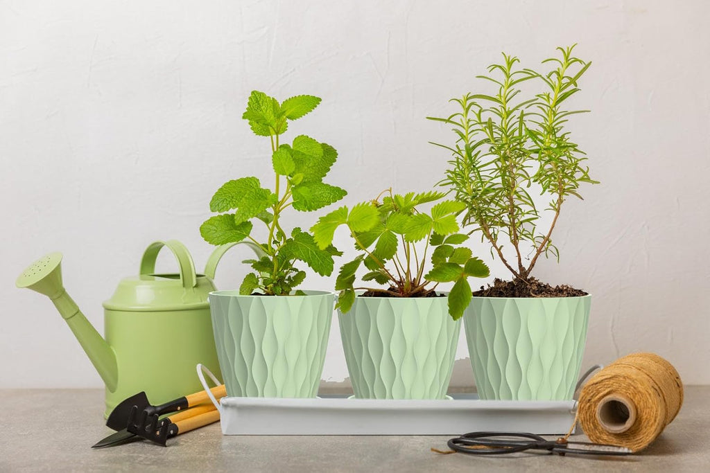 4 Inch Plant Pots, 6 Pack Indoor Flower Pots, Planters with Drainage Holes and Trays for Orchids, Violets, Succulents, Herbs, and Other Plants,Green