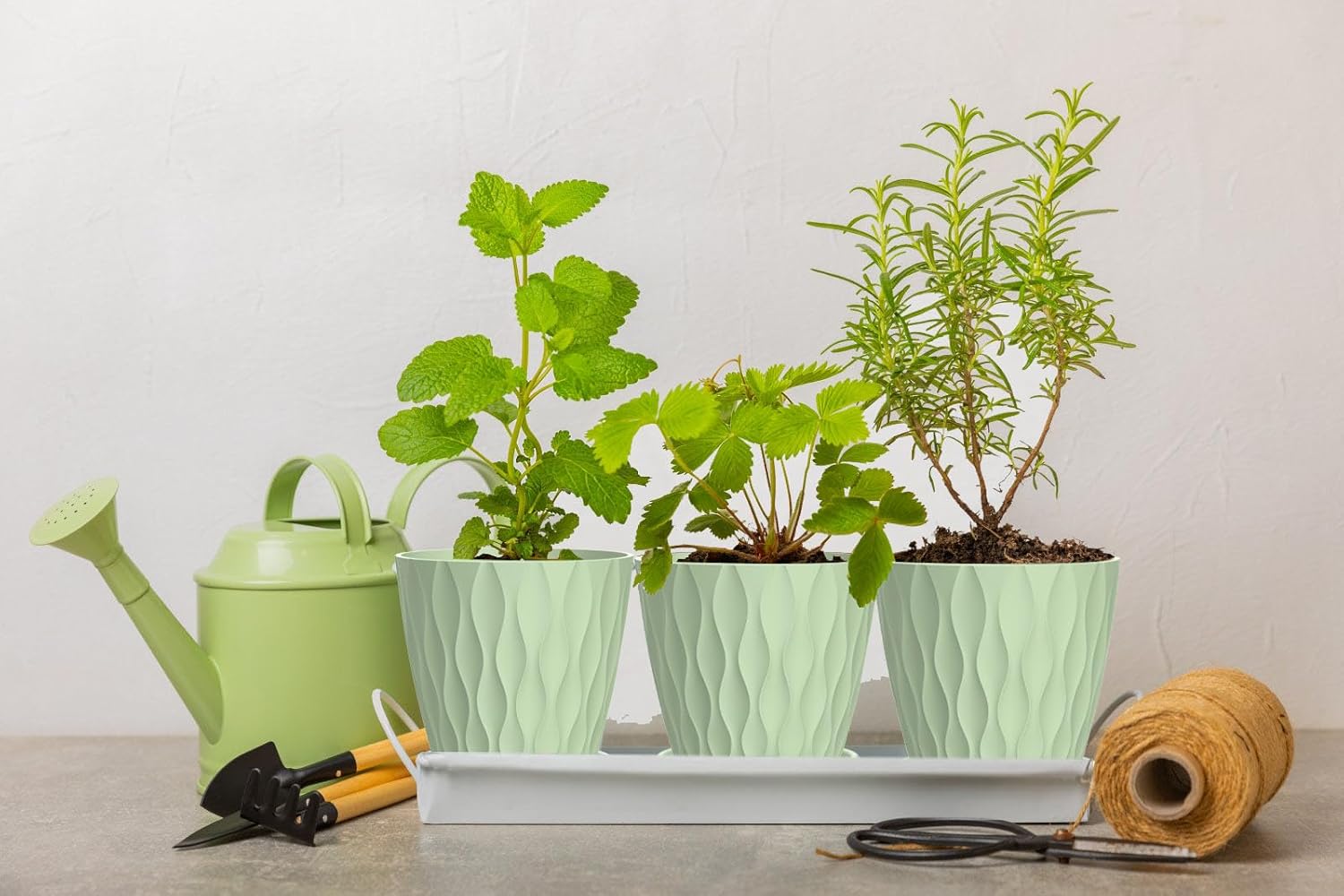 6 Inch Plant Pots, 6 Pack Indoor Flower Pots, Planters with Drainage Holes and Trays for Orchids, Violets, Succulents, Herbs, and Other Plants,Green