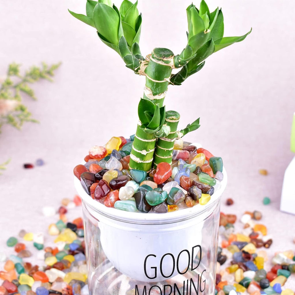 Polished Colorful Agate Crystal Chips 200 Pcs - 0.3" 10 oz Tumbled Stone Chips Crushed Sea Glass Stones Healing Reiki Crystal Making Home Decoration