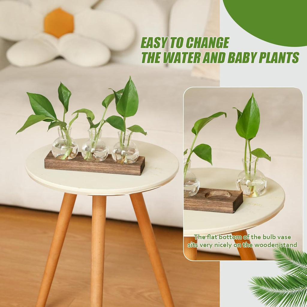 Plant Propagation Station, Plants Terrarium with Wooden Stand Bulb Glass Vase Planter Gift for Plant Lovers Home Office Decor