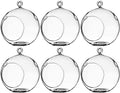 WGV Hanging Terrarium Globe, Width 5", Height 6", DIY Air Succulent Planter, Clear Glass Vase Orb with Flat Bottom, Candle Holder for Windowsill Outdoor Garden Decor, 6 Pieces Bulk