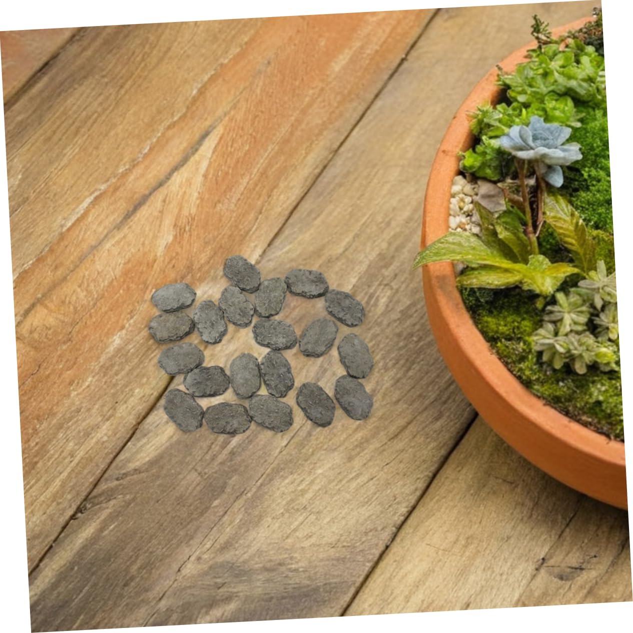 20PCS Miniature Stepping Stone Set for Fairy Garden Decor DIY Bonsai Micro Landscape Accessories Resin Rock Decorations for Garden Pathways and Aquarium Ornaments
