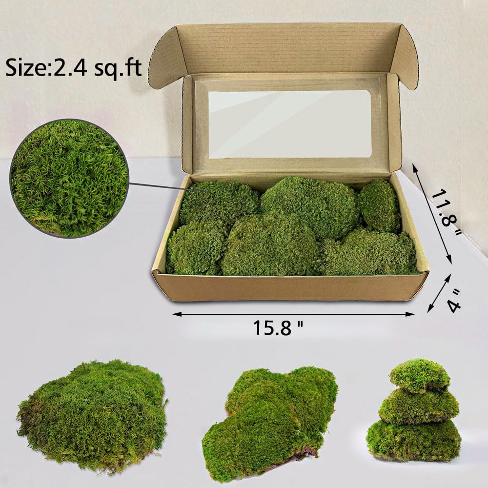TCYPUHL Preserved Pillow Moss Bulk (2.4 Sq.Ft Yellow Green) - Natural Cushion Moss for Wall Art, Home Decor - Christmas Crafts, Holiday Decorations and Gift Giving DIY Craft, Floral Arrangements