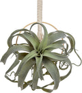 Artificial Air Plants 11 Inch Fake Hanging Plant Real Touch Lifelike Fake Succulents Plants for Home Garden Office Indoor Outdoor Decor