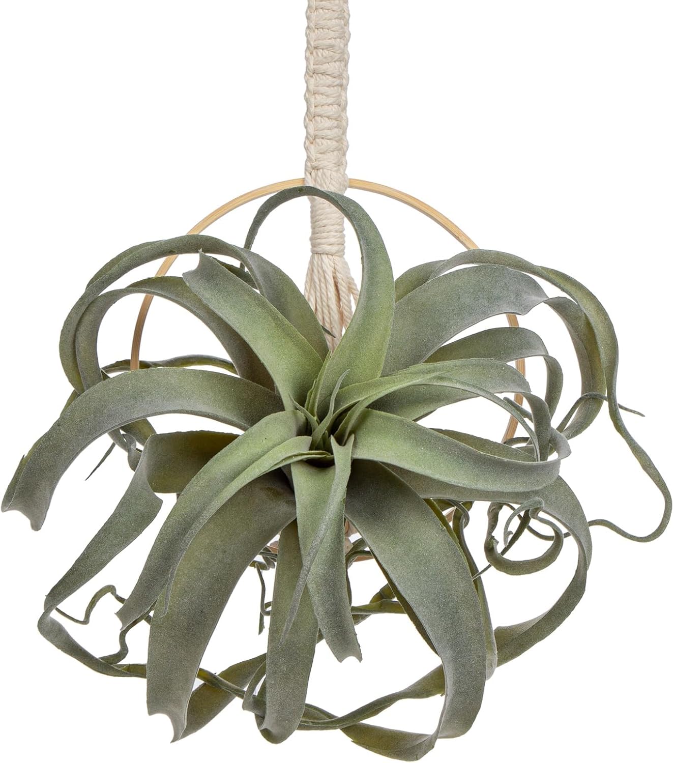 Artificial Air Plants 11 Inch Fake Hanging Plant Real Touch Lifelike Fake Succulents Plants for Home Garden Office Indoor Outdoor Decor