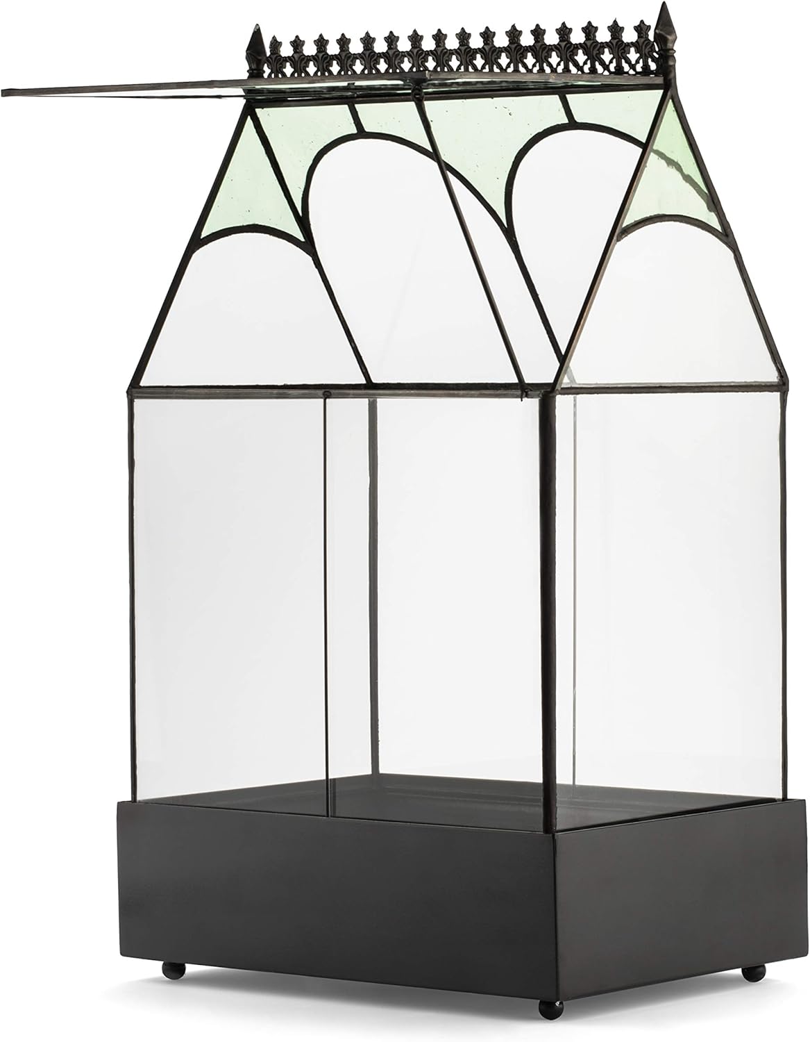 H Potter Glass Plant Terrarium Wardian Case Succulent Planter Container War158