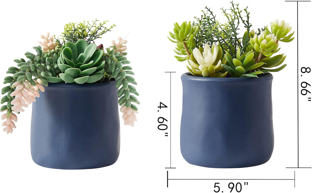 Artificial Succulent in Ceramic Pots, 2 Packs Large Faux Fake Plants Navy Blue for Desk,Office, Bedroom, Living Room, Bathroom Office Shelf Home Décor