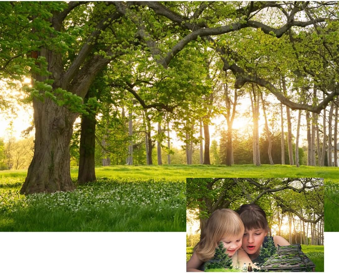 12x8ft Garden Spring Scenery Backdrop Rainforest Tropical Grassland Flower in the Sunlight Nature Landscape Green Tree Photo Background for Camping Picnic Outdoor Party Bedroom Living Room