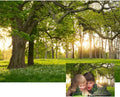 10x6.5ft Forests Backdrop Summer Tree Green Meadow Flower Sunrise Woods Botanical Natural Scenery Photography Background Camping Birthday Picnic Wedding Studio Photo Props Polyester