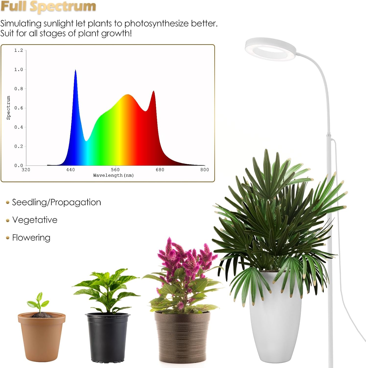 GLOWRIUM Grow Lights for Indoor Plants, Full Spectrum LED Grow Light Floor Lamp with Stand Adjustable Height and Angle, Black Plant Light with 3/9/12H Grow Light Timer (White, 20W)