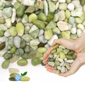 10LB Natural Polished Jade Pebbles River Rocks Decorative Stones, Ideal for Indoor Plants,Fish Tank, Vases, Succulents, Home Decor and Outdoor Garden Landscaping, Small Jade