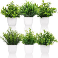 6 Pot Small Fake Plant Flowerpot Artificial Plastic Eucalyptus Plant Wheat Grass Shrub Plant Indoor Desk Coffee Table Bathroom Bedroom Home Decoration (6)