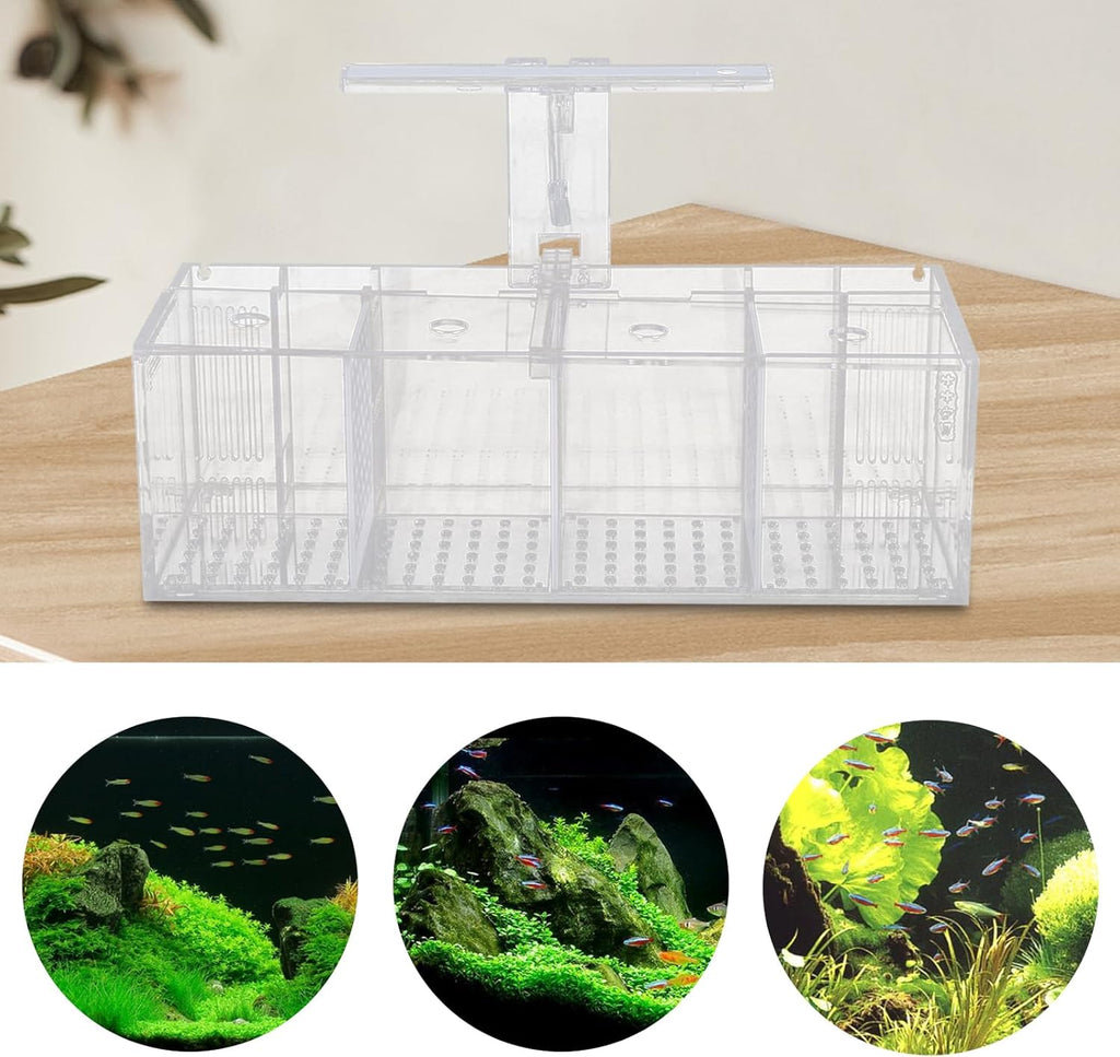Acrylic Aquarium 4 Compartment Betta Fish Tank with LED Lights Pump Container Rectangular Fishes Tank Suitable for a Wide Variety of Tropical Fish, Clear and Transparent