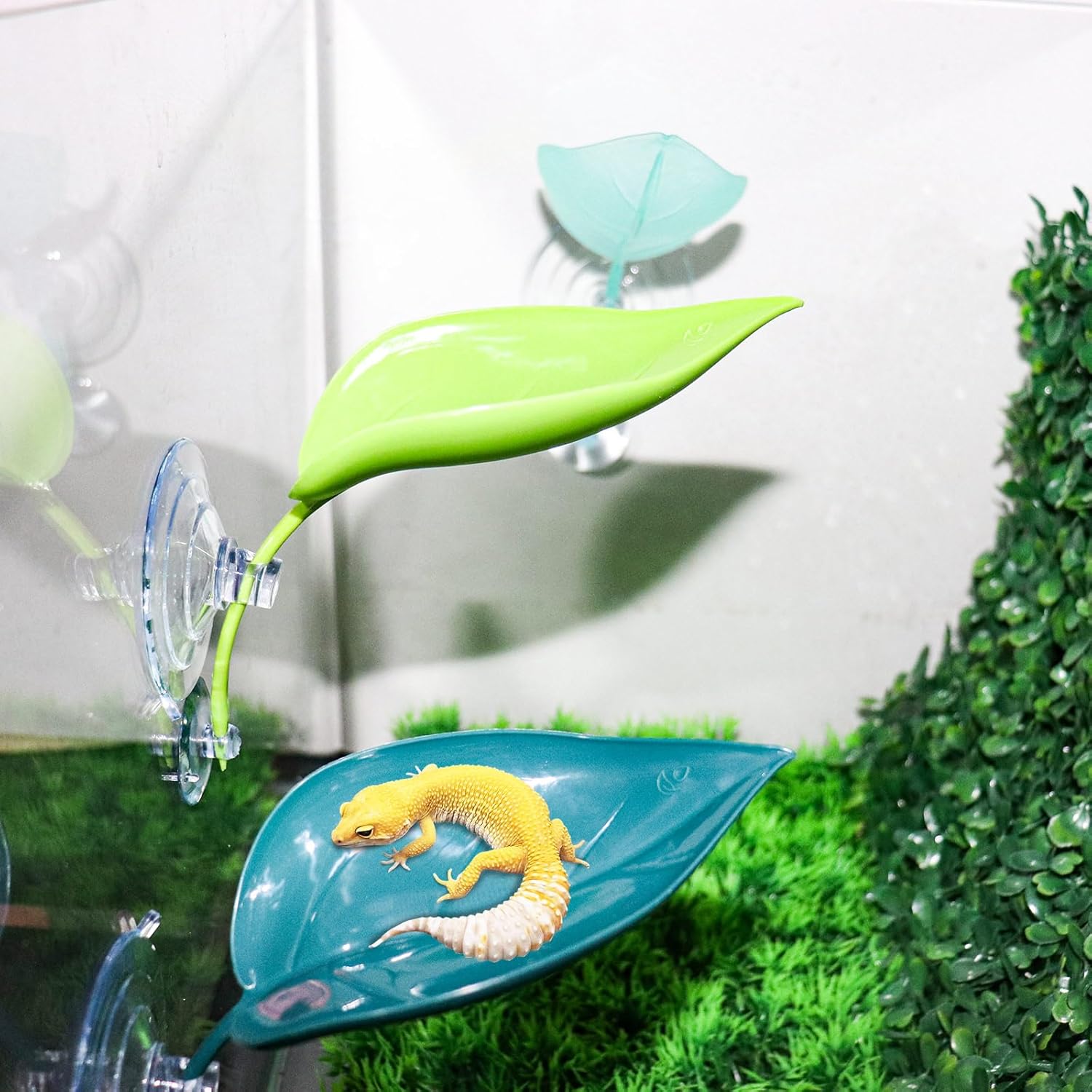 3 Pack Plastic Leaf Decorations with Suction Cups, Gecko Tank Accessories, Reptile Terrarium Decorations for Crested Geckos, Leopard Geckos