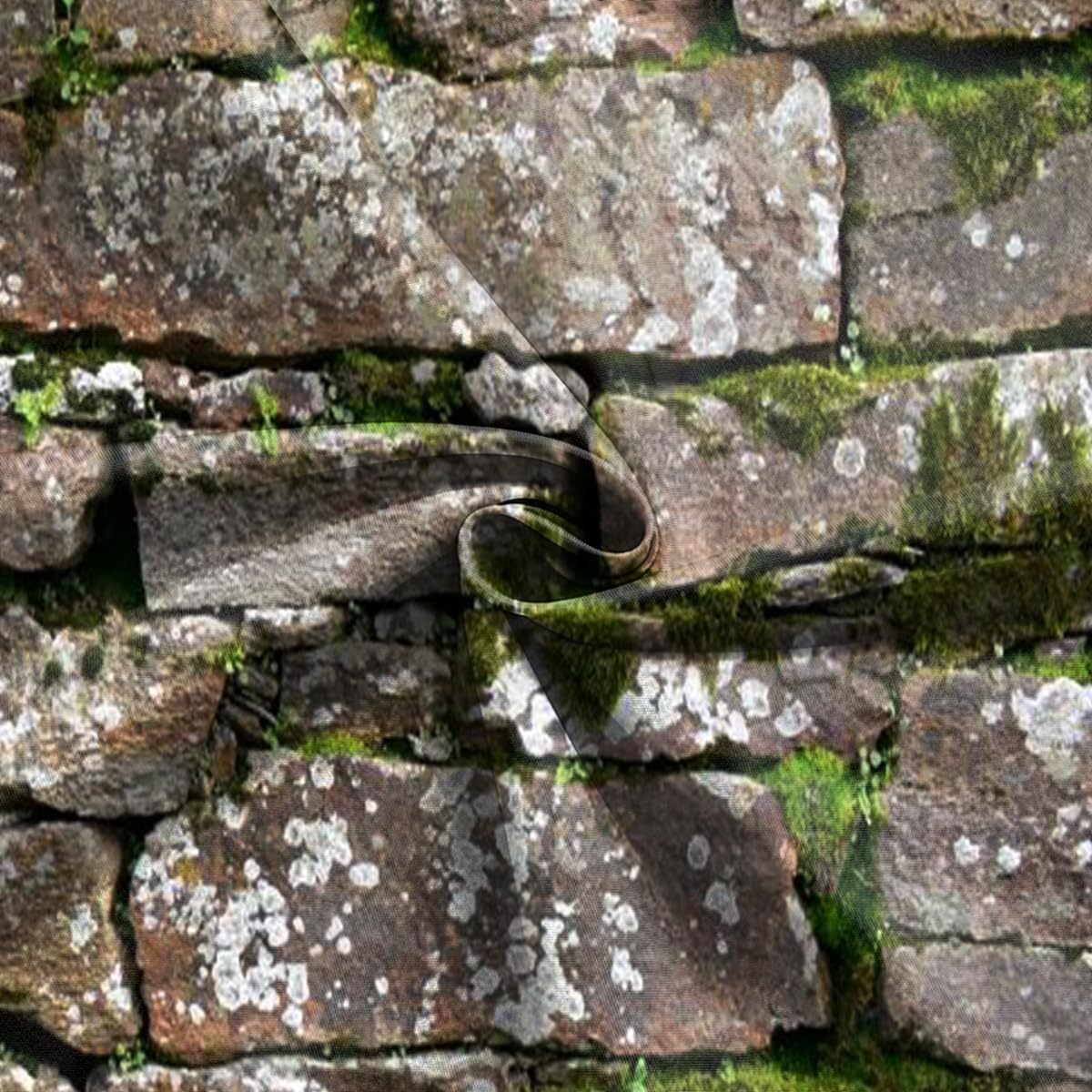 CapiSco Vintage Brick Stone Wall Backdrop 7x5FT Vintage Textured Stone Ancient Rock Wall Castle Wall Overgrown Wall Green Leaf Background Medieval Castle Mossy Stone Wall for Party Decorations