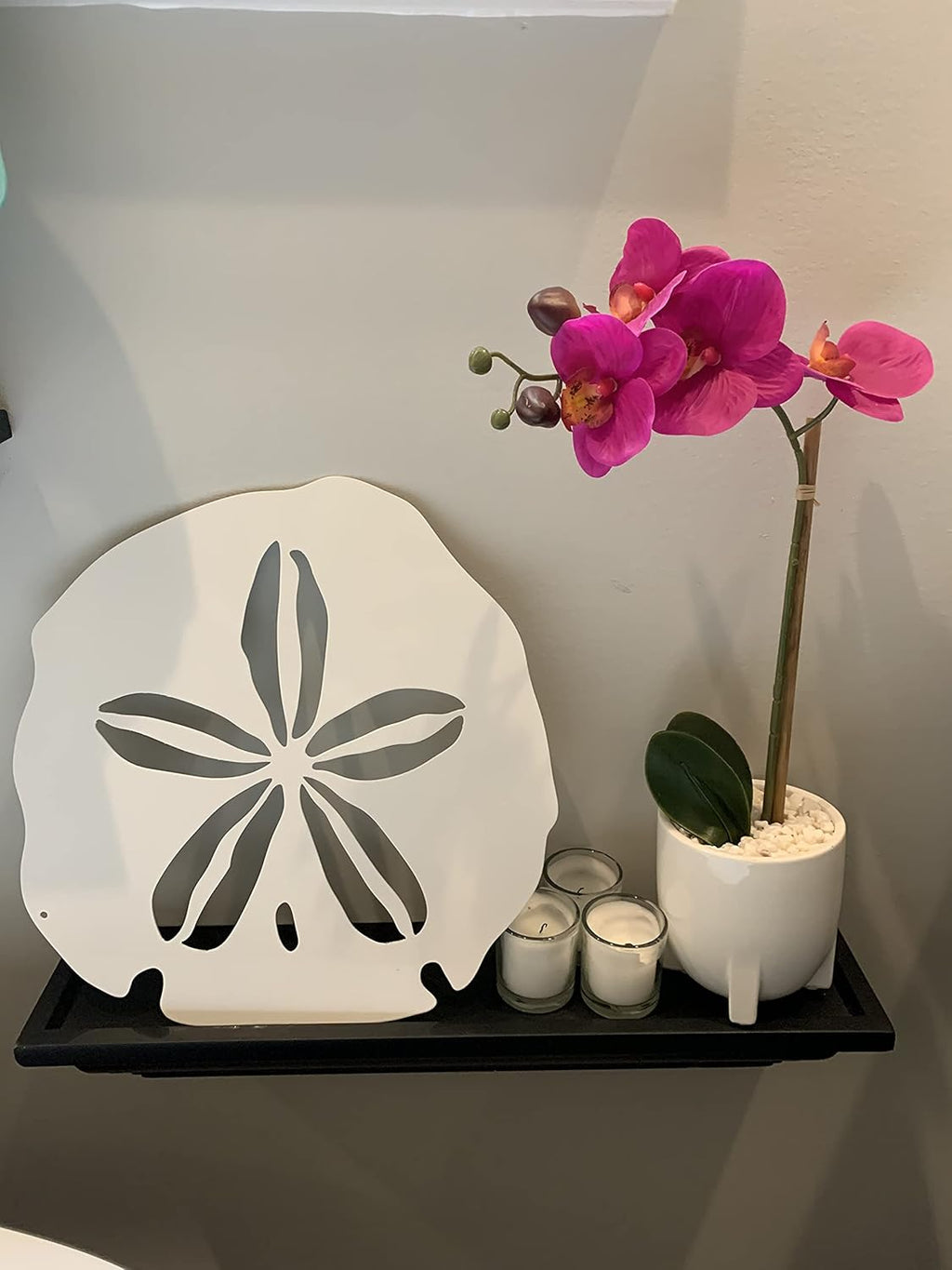 Riverside Designs Coastal Sand Dollar Ocean Beach Metal Art Steel Wall Decor (12", White)