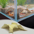 LIYAOLI Aquarium Cave Tunnel with Dual Viewing Ports | Fish Tank Decoration Hideout for Pleco, Shrimp & Corydoras | Substrate-Friendly Design & Sinking Base