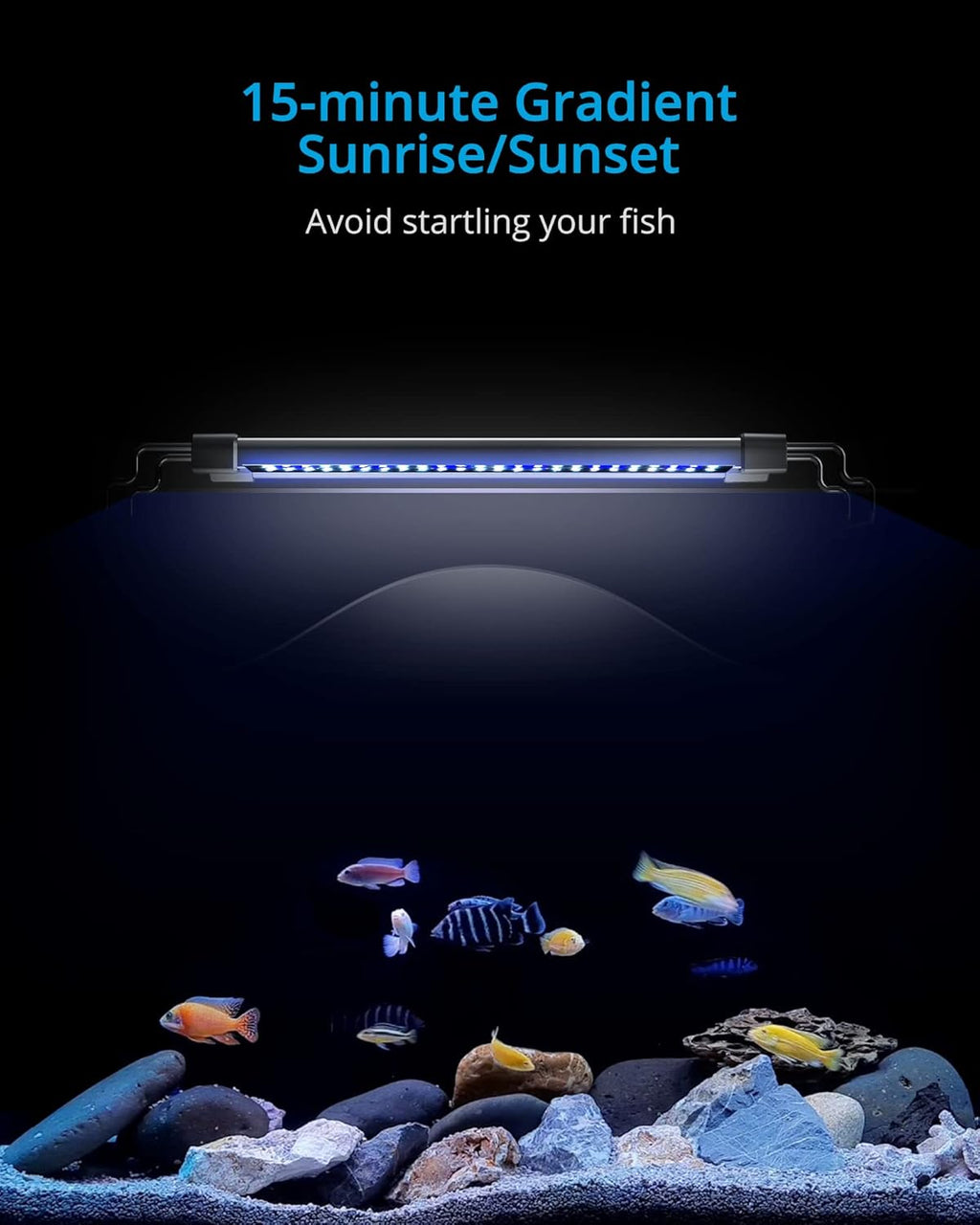 NICREW ClassicLED Gen 2 Aquarium Light, 11 Watts, Dimmable LED Fish Tank Light with 2-Channel Control, White and Blue LEDs, Size 12 to 18 Inch