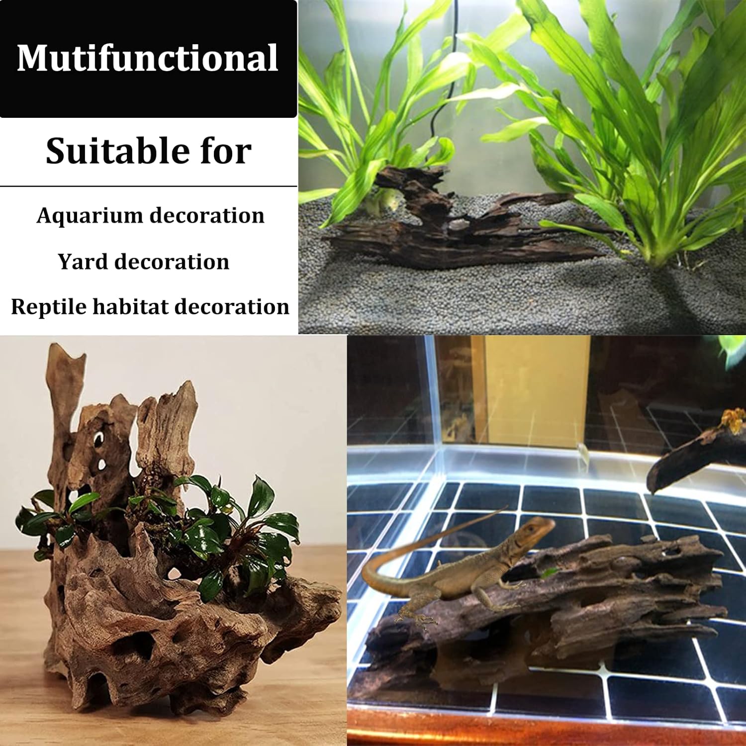 PINVNBY 6 PCS Natural Driftwood for Aquarium Decor 3.9" - 7.8" Large Driftwood for Reptile Tank Fish Aquarium Driftwood Branches Terrarium Decoration Assorted