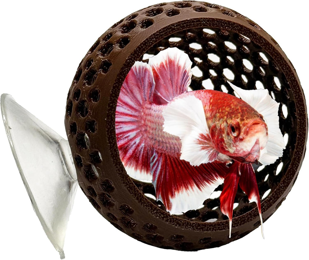 CTWPets Natural Betta Bulb Hide | Betta Rest Fish Tank Ornament | Aquarium Cave with Suction Cup for Small Fish Tank, Betta Habitat, Shrimp Hideout, Aquatic Decor (Dark Brown)