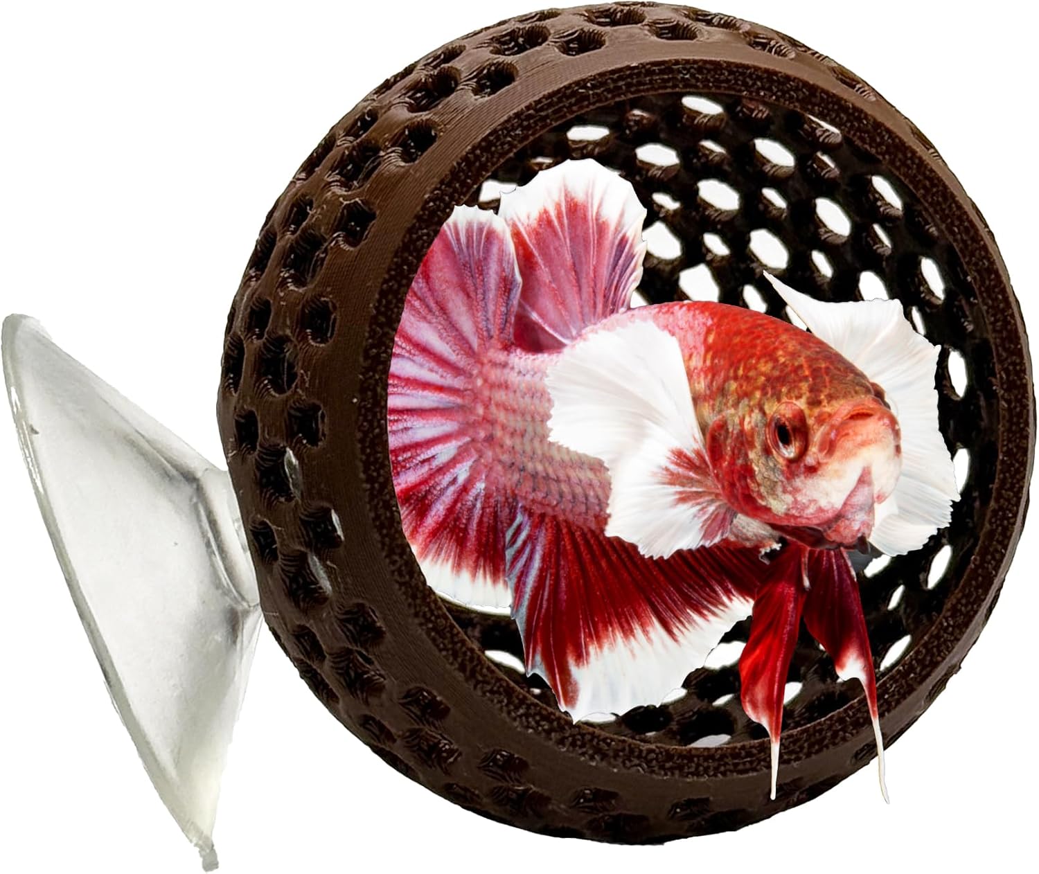 CTWPets Natural Betta Bulb Hide | Betta Rest Fish Tank Ornament | Aquarium Cave with Suction Cup for Small Fish Tank, Betta Habitat, Shrimp Hideout, Aquatic Decor (Dark Brown)