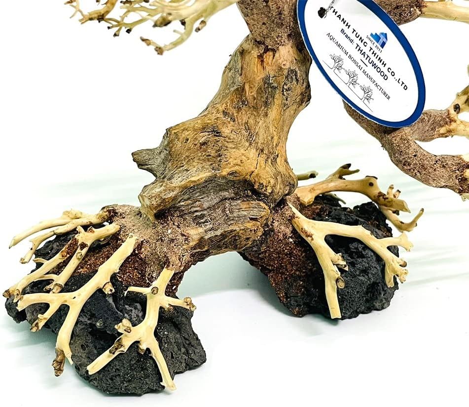 Bonsai Driftwood Aquarium Tree (8in H x 6in L), Handcrafted Fish Tank Decoration | Easy to Install Driftwood Bonsai for Fish Tank | Decor Aquascape Wood (Bonsai Tree On Rocks)