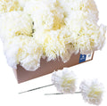 Royal Imports Artificial Carnations, Silk Faux Flowers, for Funeral Arrangements, Wedding Bouquets, Cemetery Wreaths, DIY Crafts - 100 Single 5" Stems - Ivory