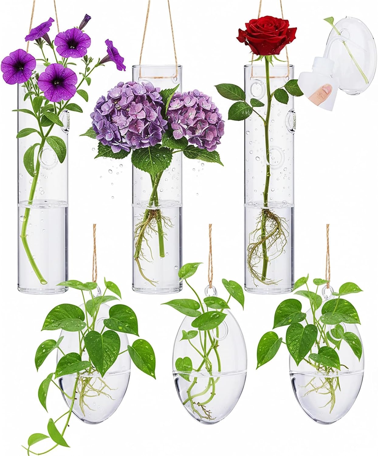 Zopeal 6 Sets Wall Hanging Glass Planter Greenhouse Terrarium Propagation Station Wall Vase Container Watering Squeeze Bottle with Rope and Hook for Hydroponic Plants Flower Home Decor (Elegant Style)