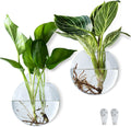 Wall Hanging Planter Propagation Station, Oblate Glass Flower Vase for Propagation, Wall Planter for Indoor Plants, Modern Home Office Corridor Bathroom Decor (2)