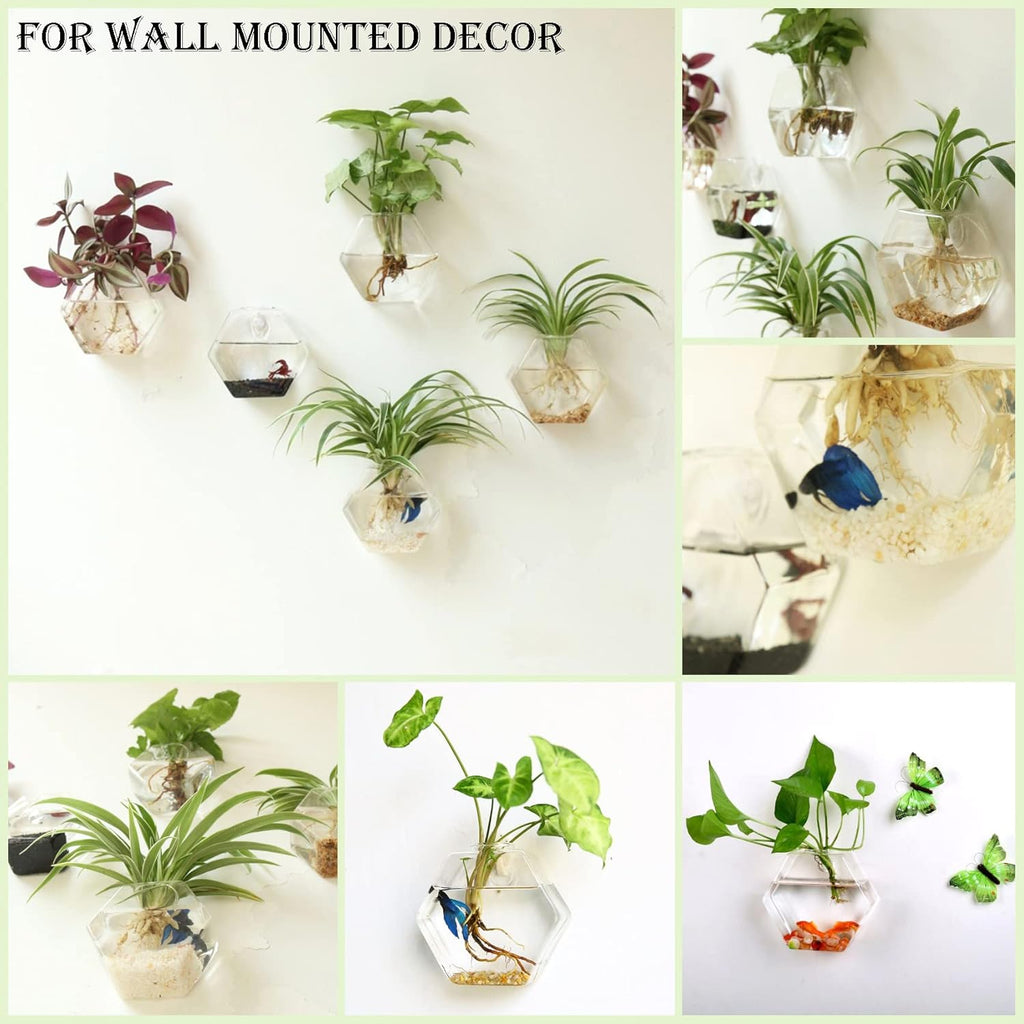 Kingbuy Hexagon Wall Planter Set - 3 Pack Glass Propagation Terrarium Vases with Hanging Mounts for Indoor Plants, Air Plants & Hydroponic Stations Home Office Decor, Plant Lover Gifts (Medium)