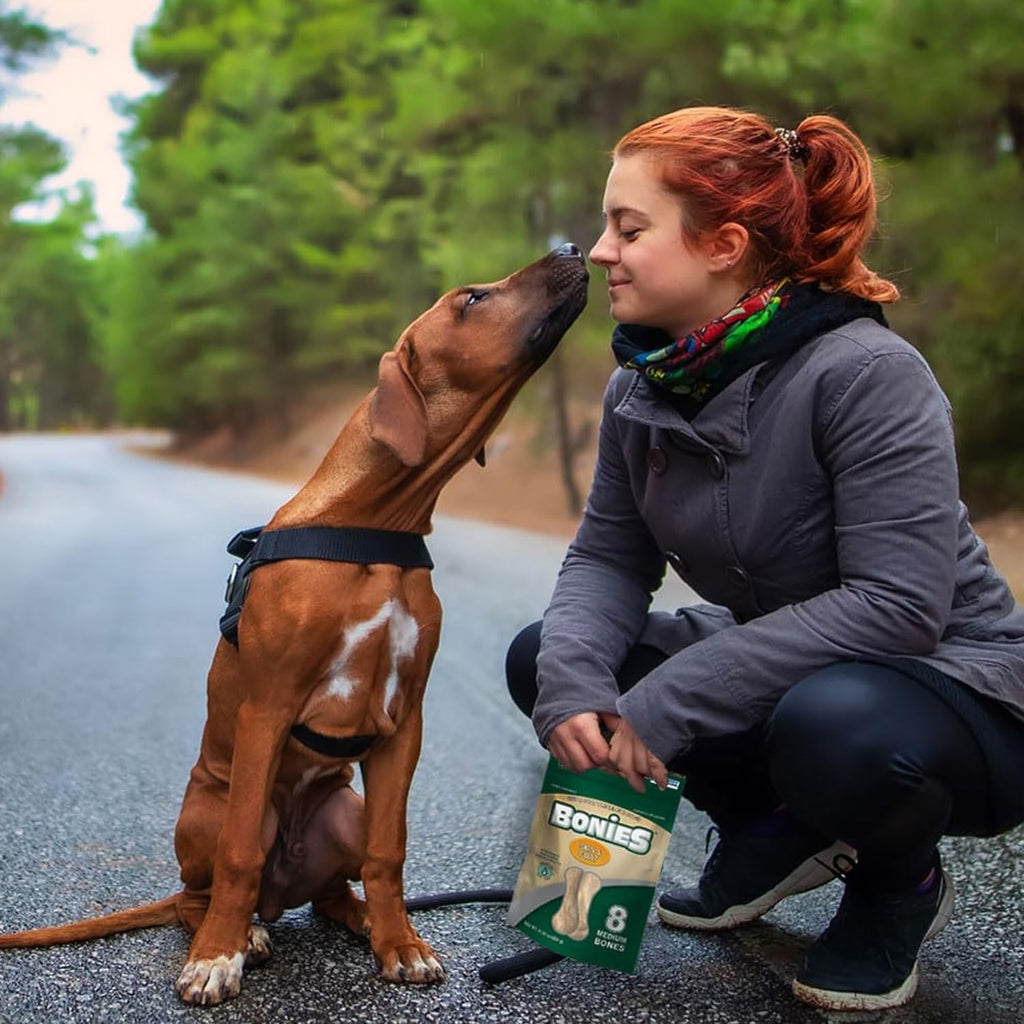 Bonies Natural Skin & Coat Formula Large-Sized Single Bone - Promote Silky Coat & Healthy Skin, Healthy Teeth & Fresh Breath, Low Calories - Chicken Flavor, [Large Dogs], 72 Bones