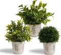 3 Pack Small Fake Plants in Cement Planter (11.42/10.83/9.21 Inch) - Artificial Plants Indoor/Outdoor, Small Realistic Greenery for Home Decor, Bathroom, Bedroom, Kitchen & Office