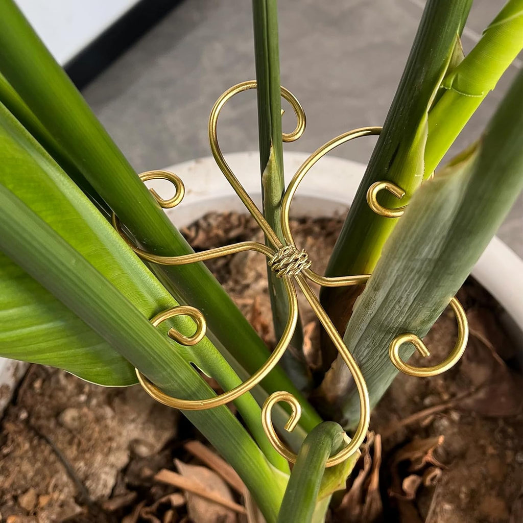 6pcs Plant Stem Support, Iron Monstera Plants Support, Plant Stem Holder Support Unique Design Bamboo Clamp Set for Outdoor & Indoor Growing Climbing Plants Stabilization and Supports