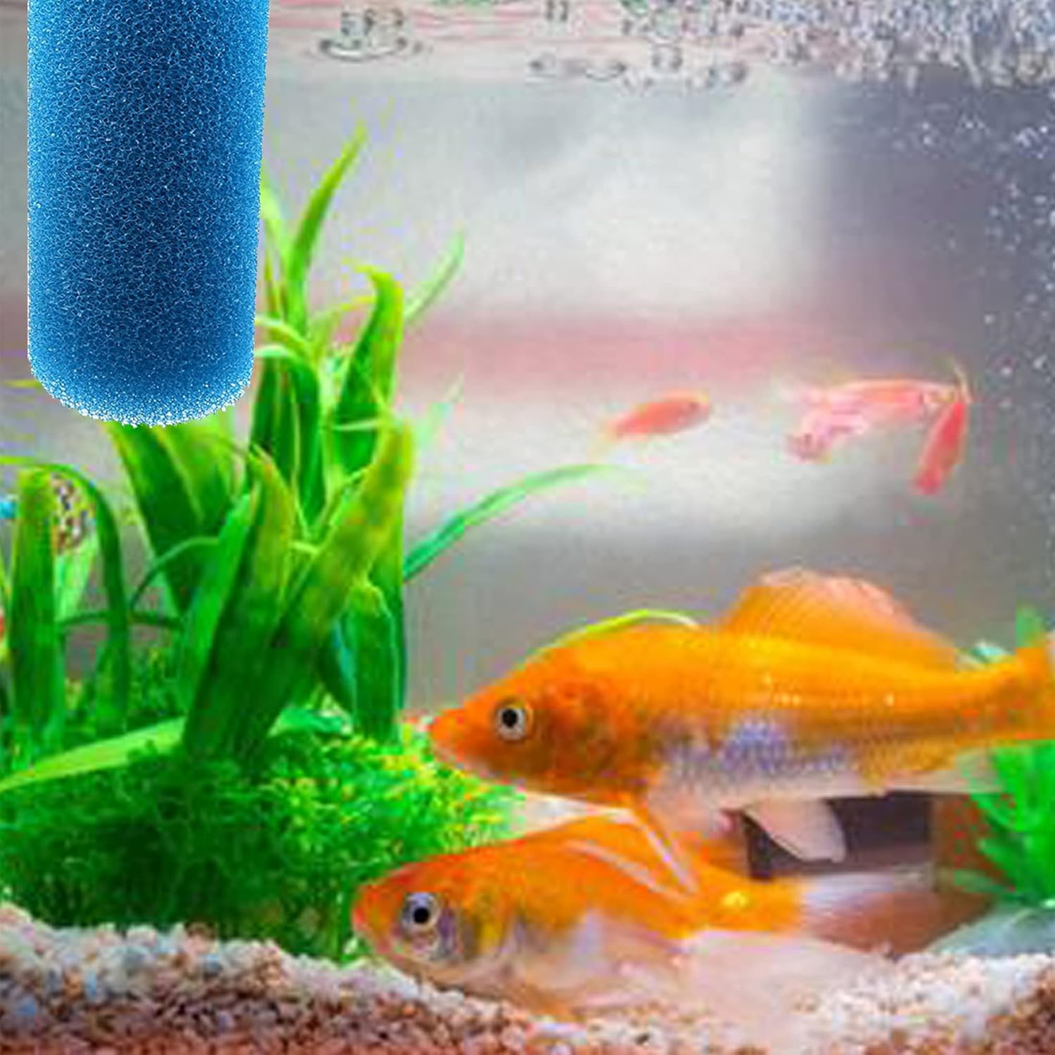 5.9″ Big Prefilter Foam Sponge Replacement Filtration Kit for Pond Aquarium Fish Tank Pad (6PCS)