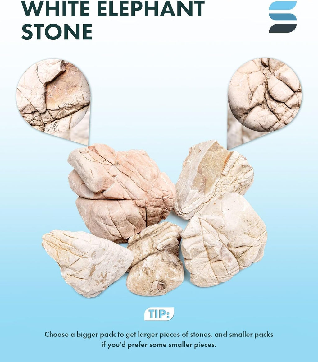 SubstrateSource Natural Aquarium Stones - Off-White Textured with Grooves Decorative Aquascaping Rocks for Betta Fish Tank, Goldfish, Cichlids, Hermit Crab & Terrariums - White Elephant Skin, 20 LB