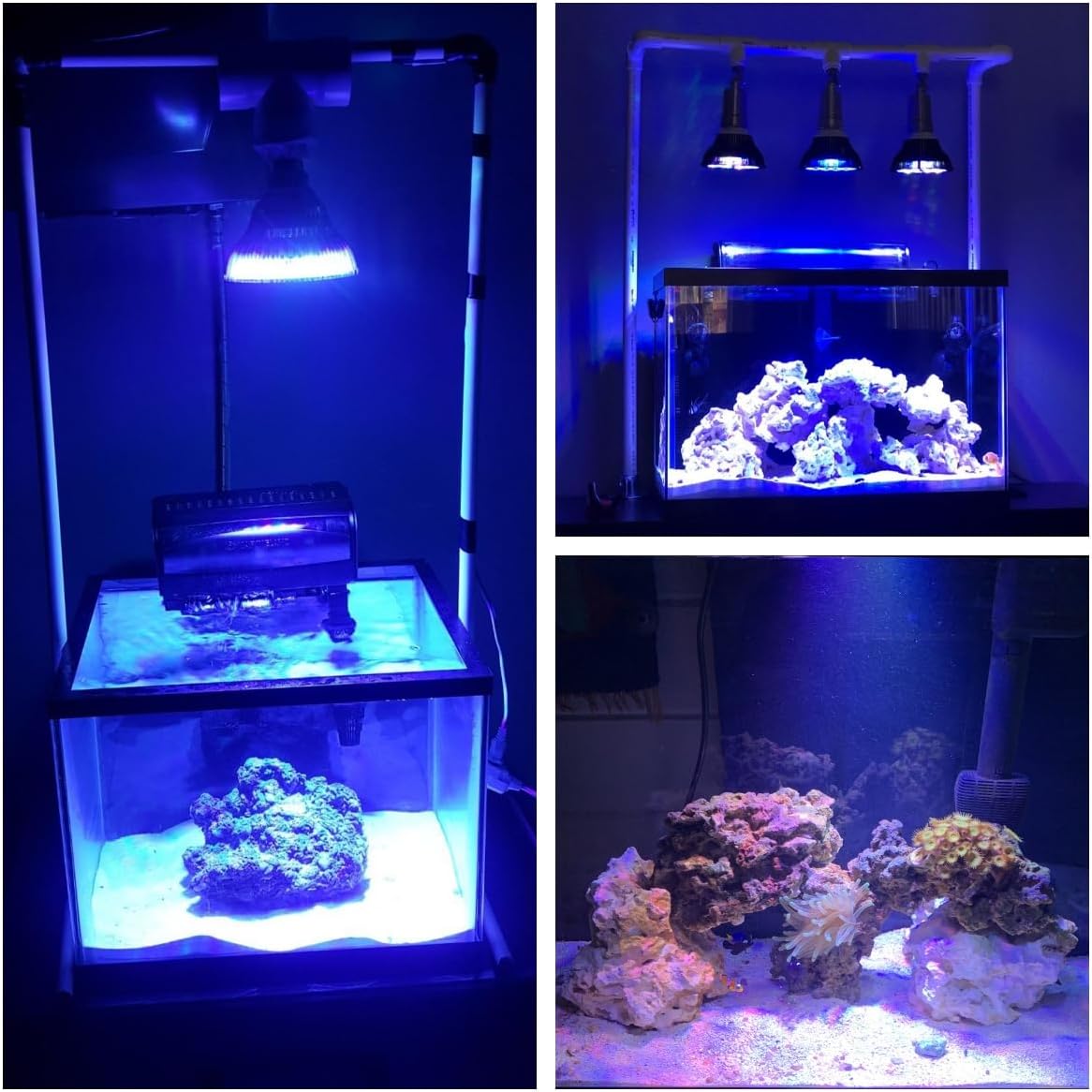 LED Aquarium Lights Bulb 18W Saltwater Fish Tank Light Full Spectrum Aquatic Plants Grow Lamp Refugium Light with UV Blue White Red Green LEDs Reef Lights for Coral Marine Algae Turtle Habitat