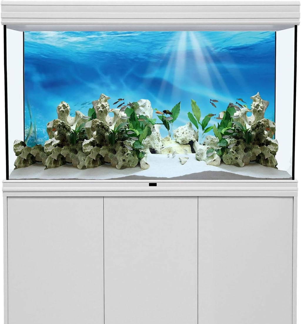 AWERT Undersea Theme Aquarium Background Colorful Coral Tropical Fish Sunshine Underwater World Fish Tank Background 60x24 inches Vinyl