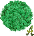 TCYPUHL Preserved Reindeer Moss 3.5 OZ Emerald Green Natural for Crafts, DIY Gift Christmas Decor, Wall Art, Potted Plants, Fake Moss for Easter Table Decor Wedding Decorative(3.5 OZ, Emerald Green)