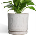 Ceramic Planter for Indoor Plants - 8 Inch Plant Pot Outdoor Flower Pot with Drainage Holes and Saucer Modern Round Planter Succulent Pot for Home Garden Decor White