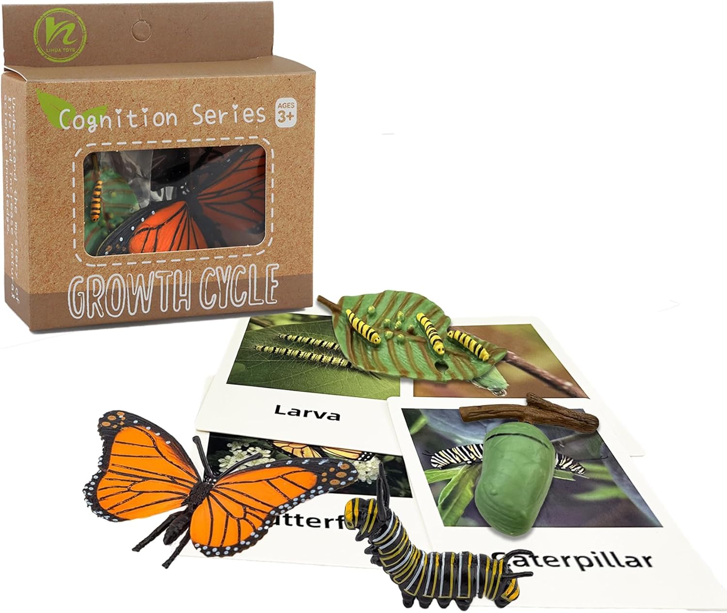 Mbrain 4pcs Butterfly Growth Cycle with Flash Cards,Life Cycle Learning & Education Toys,Montessori Toys,Gift for Girl & Boy for 3 4 5 6 7 Year Old (Butterfly)