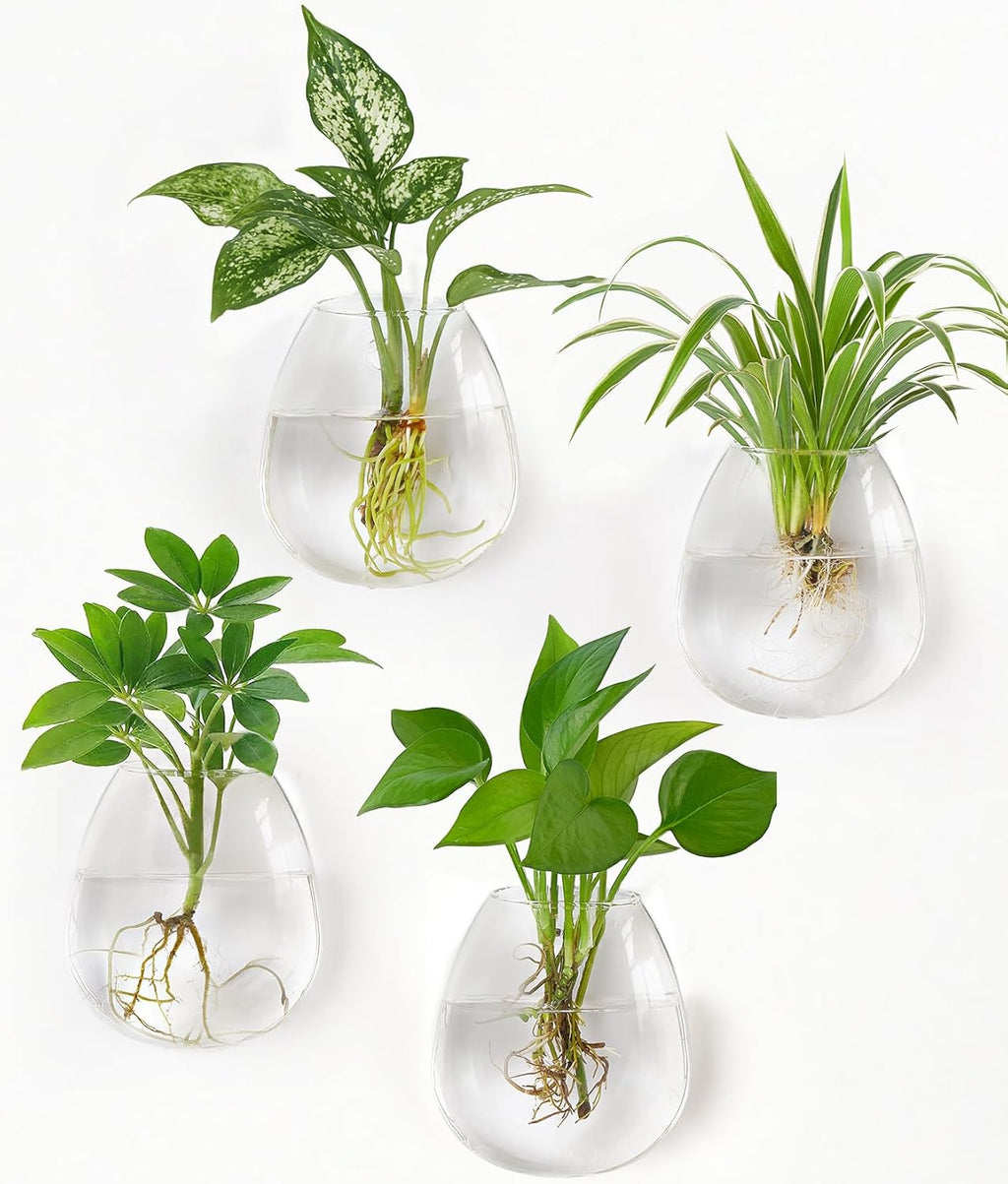 Dahey Propagation Stations Wall Hanging Planters Glass Wall Mounted Vases Oblate Terrarium for Flowers Hydroponics Indoor Plants Home Bathroom Office Decor 4 Pack