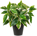 Oairse Artificial Plants Indoor Small Fake Plants in Pots Faux Pothos N‘ Joy Potted Plant Fake Indoor Plants with Black Pots for Bathroom Living Room Office Desk Shelves