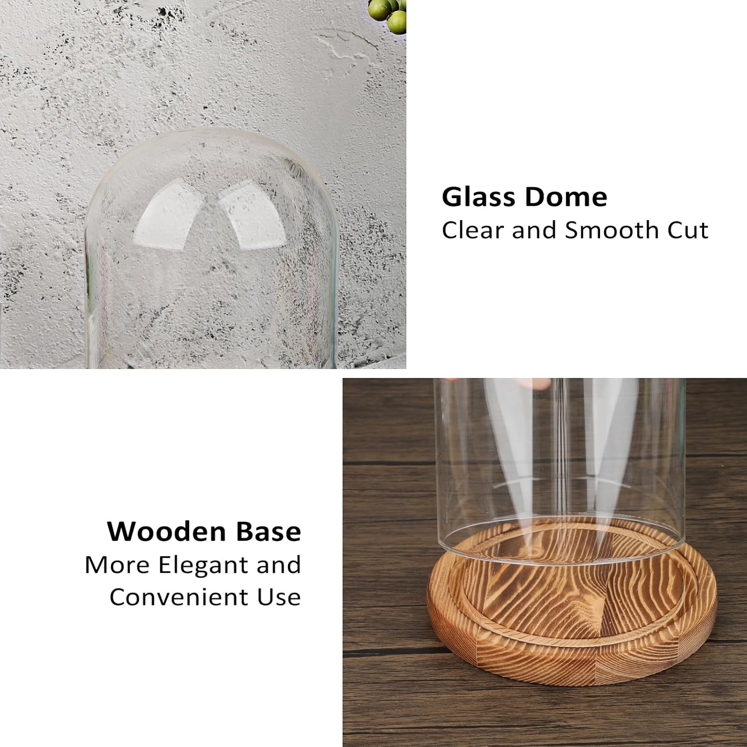 JUXYES Glass Display Dome Cloche with Solid Wood Base, Clear Dome Bell Terrarium Jar Glass Cloche Bell Jar Display for Plants, Collectibles and Figurines