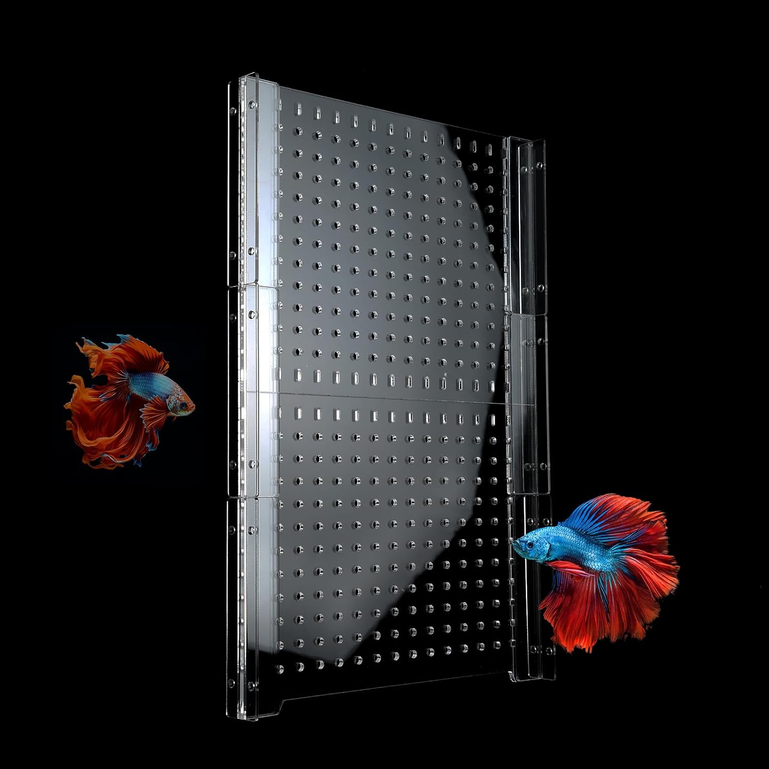 Acrylic Fish Tank Divider,10/15/20/55/75/125Gallon Tank Divider,Adjustment Clear Fish Tank Separator Set with Suction Cups (55 Gallon)
