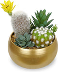 Oairse Artificial Cactus Plants Indoor, 7" Assorted Small Faux Succulent in Pots Fake Potted Desk Plant with Gold Bowl Mini Succulents Artificial Cactus Decor for Home Office Bathroom Table Shelf